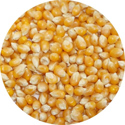 A É |bvR[ gERV popcorn Ƃ낱  |bv R[ (20kg)