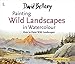 David Bellamys Painting Wild Landscapes in Watercolour