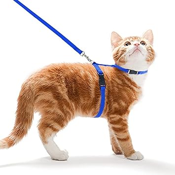 SPYNET Cat Harness Strap Collar /Cat Training Leash Nylon Set for Cat Rabbit Kitten and Small Pet - Blue