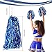DILIBRA 24 Pcs Metallic Cheerleading Pom Poms, Cheerleaders Cheer Pom Poms with Baton Handle, Cheering Squad Hand Flower for Adults Kids Team Spirit Sports Game Dancing Party