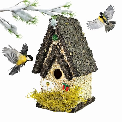 Handmade Edible Birdhouse- Unique Wooden Birdhouse Covered w/Birdseed- Reseedable Bird Feeder-Made in USA- Holiday Design! (TD)