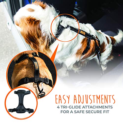 Mighty Paw Car Dog Harness, Vehicle Safety Harness With Adjustable Straps And Soft Padding, Doubles As A Standard Harness With A No Pull Front Leash Attachment #TOP3