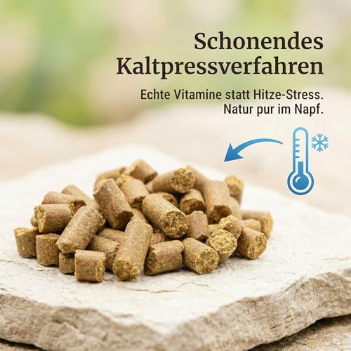 Naturpfötchen Umweltbewusst & Vital 5kg Insektenprotein Hypoallergenes Hundefutter Kaltgepresst & Getreidefre Markus Mühle Nachhaltiges Trockenfutter für Sensible Hunde Aller Rassen Natürlich(1x5kg)