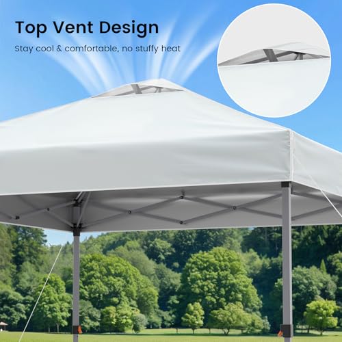 Raynesys 10x10 Pop Up Canopy Tent