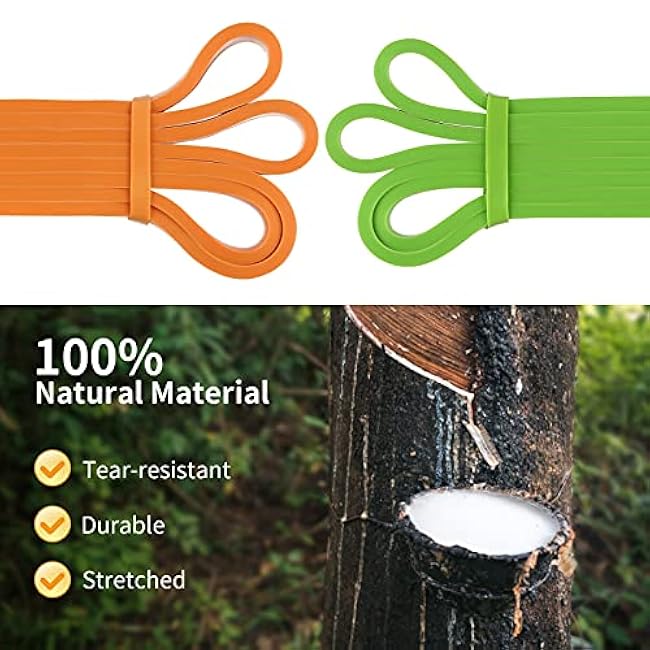 Resistance Bands Set, Pull Up Assist Bands - Stretch Resistance Band - Mobility Band Powerlifting Exercise Bands for Resistance Training, Physical Therapy, Home Workouts