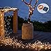 LiyuanQ Solar String Lights, 4 Pack 100 LED Solar Fairy Lights 33 Feet 8 Modes Copper Wire Lights Waterproof Outdoor String Lights for Garden Patio Gate Yard Party Wedding Indoor Bedroom Warm White