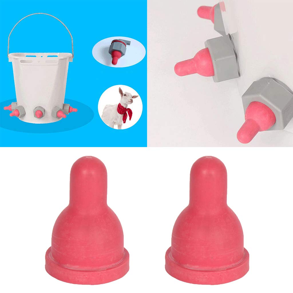 Milageto 2X Bouteille de Lait de Chèvre en Caoutchouc Alimentation Tétine Pression Veau Lait Mamelon de Bouteille