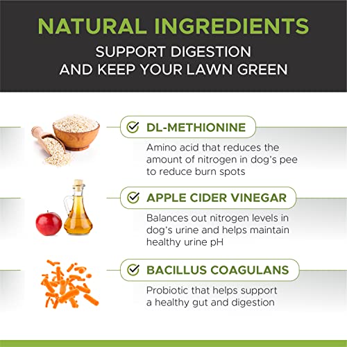 Pet Honesty Grass Green Grass Burn Spot Chews for Dogs - Dog Pee Lawn Spot Saver Treatment Caused by Dog Urine… - Image 4