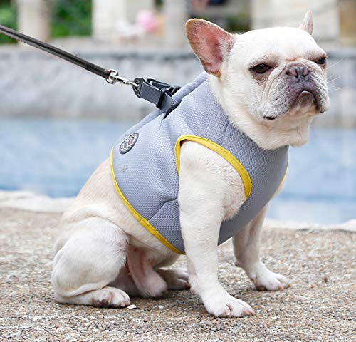Dogs Cooling Vest Harness for Outdoor Walking-French Bulldog Summ...