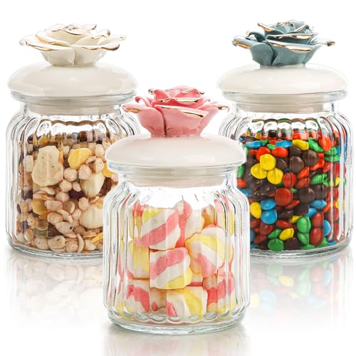 Cididu 3 Pack Glass Jars with Airtight Lid, 10 Oz Hand Crafted Clear Glass Canister, Glass Candy Jars with Porcelain Lid, Ribbed Canning Storage Jar for Kitchen Sugar Coffee Beans Nuts Spices Cookie
