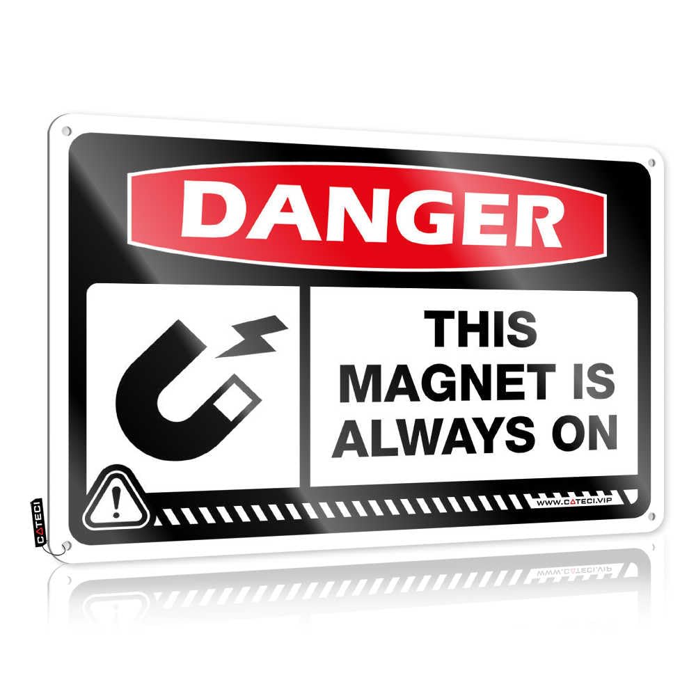Fzfn Colour Modern Decoration, Front Entrance Decor Custom Danger This Magnet Is Always On | Farmhouse Office Decor(30X40cm)