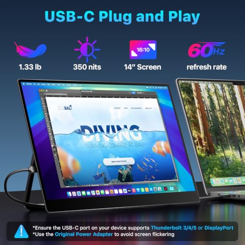 Multi Function 4K OLED monitor