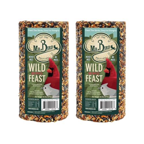 Image of Mr. Bird WildBird Feast Cylinder, 2-Pack, 1 lb 15 oz | Wild Bird Seed for Outside Feeders | Premium Blend of Pecans, Sunflower Hearts & Millet | No Mess, No Melt