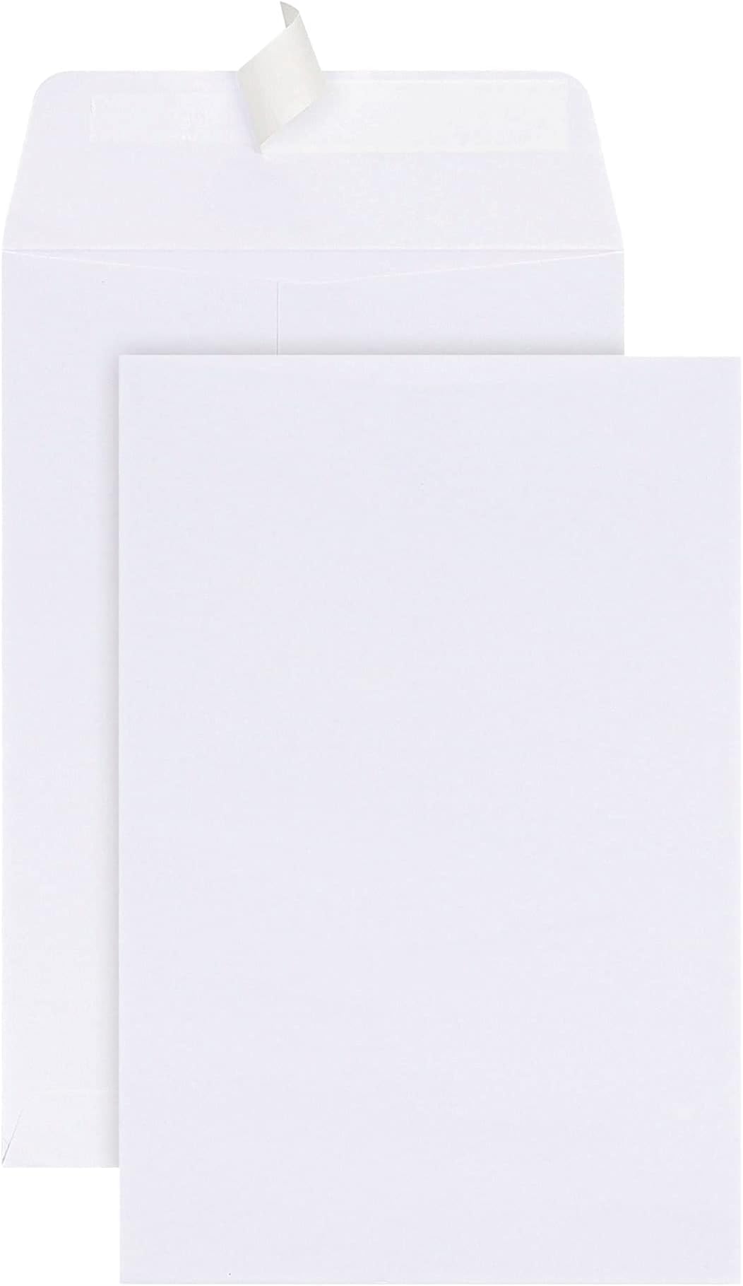 EnvyPak Clear Catalog Envelope Vertical Style Permanent