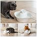 Aurora Cat Water Fountain Porcelain, Pet Water Fountain for Dog and Cat, 3 Carbon Filters and 2 Water Pumps