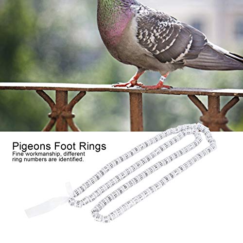duiven beenband, 100 stuks vogel voetringen geen concurrentie duiven voetringen simulatie training beenbanden wit - Afbeelding 5