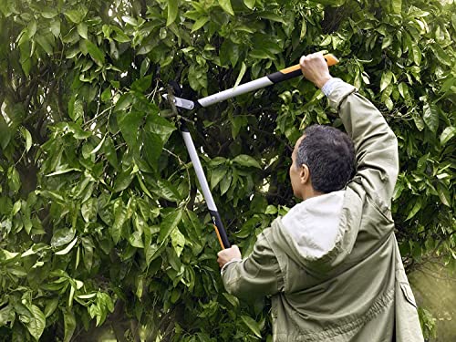 Fiskars Troncarami Con Lame Bypass Per Legno Verde, Sistema A Cremagliera Powergear X, Misura S, Diametro Di Taglio: 3,8 Cm, Lame In Acciaio Temprato, Lunghezza: 57 Cm, Nero/Arancione, LX92, 1020186 - 8