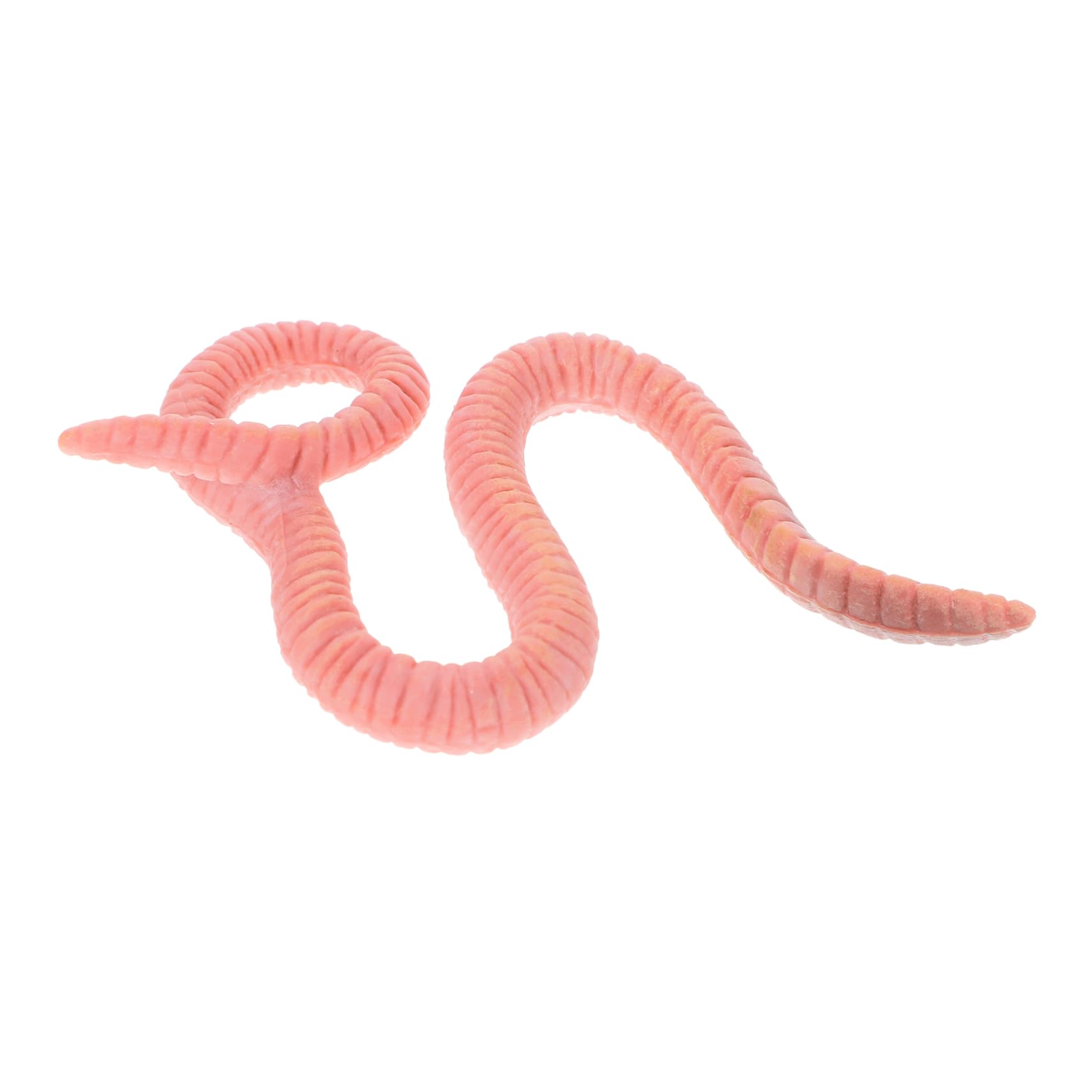 CIYODO Realistic Earthworm Model Simulated Earthworm Toy for Boys and Girls Lifelike Simulation Insect Figurine for Desktop Garden Decoration Small Animal Toys for Boy Girl's Learning