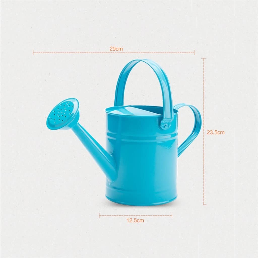 Regadera Familia De La Planta Verde Flor Vierte La Botella De Aerosol De Hierro De La Olla De Agua, 1.5L Regadera Puede Gran Capacidad Regadera para Exterior(C)