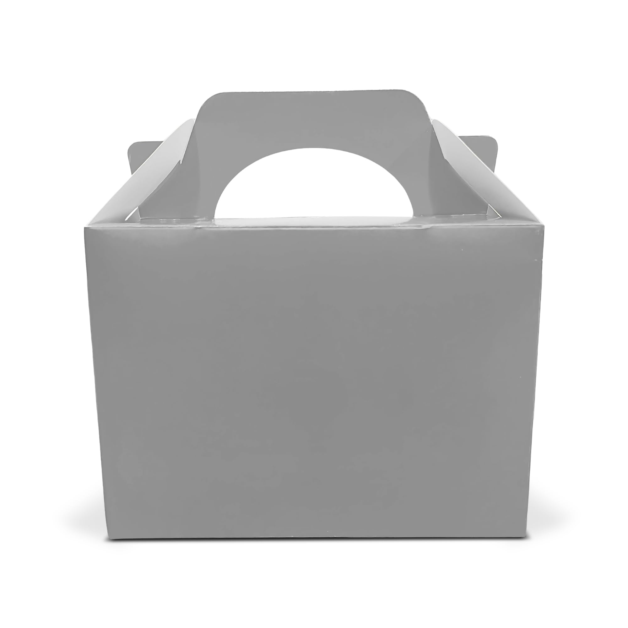 Lotus 10 x Children/Kids Plain Coloured Party Boxes Carry Food Meal Fun Picnic Birthday Wedding Favour/Baby Shower Party Halloween Trick or Treat Box Loot Bag (Silver)
