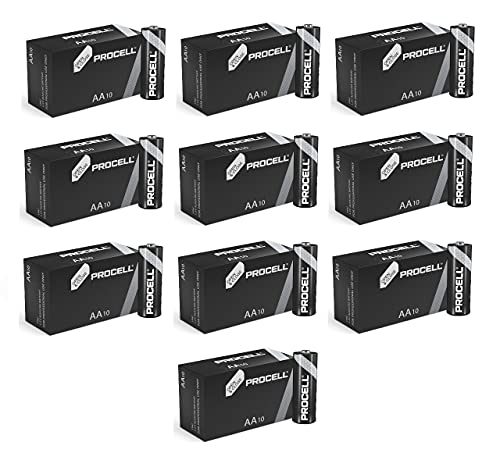 Pile alcaline Duracell Lot de 100. AA Size