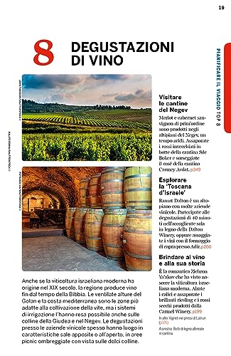 Israele E I Territori Palestinesi - 17