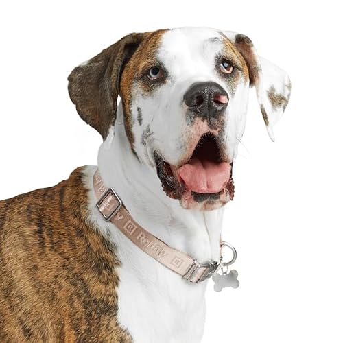 Reddy Jacquard Dog Collar Pink Large/X-Large - Thumbnail 3