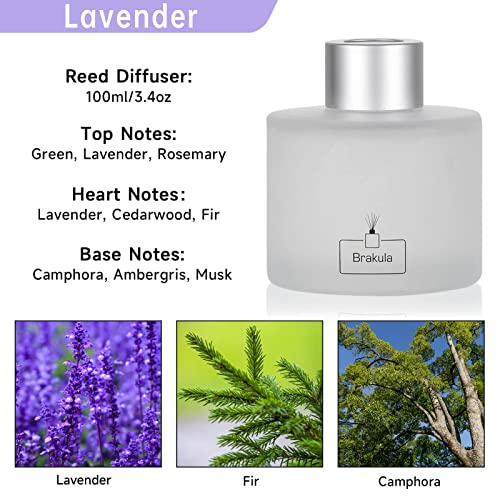 Brakula Reed Diffuser Set - Lavender Scented Essential Oil Includes 8 Sticks, Bathroom Bedroom Home Office Decor, 3.4 Oz/100 Ml #TOP1