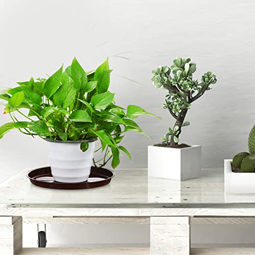 GANAZONO 5pcs Plant Saucers for Potted Plants,flower Pot Drip Trays for Indoor Outdoor 26cm Flower Pot Drip Trays for Large to Small Pots - Image 3