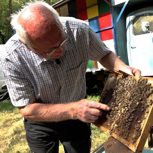 Page de couverture de 'Heureuse comme une abeille en Slovénie'