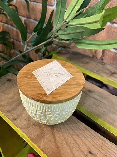 Paddywax Scented Candles Desert-Inspired Sonora Range Candle in Reusable Etched Concrete Pot with Wooden Lid, 85g, Fresh Meyer Lemon - Image 2