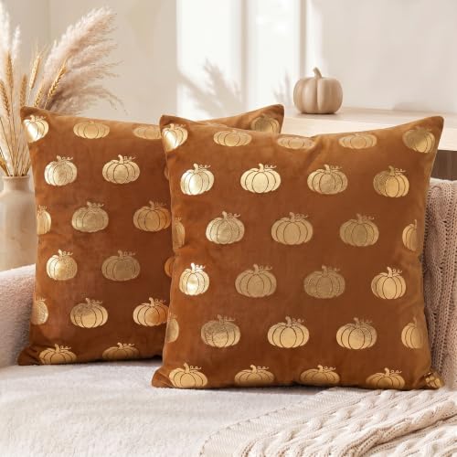 AVOIN Gold Foil Pumpkin Velvet Pillow Covers
