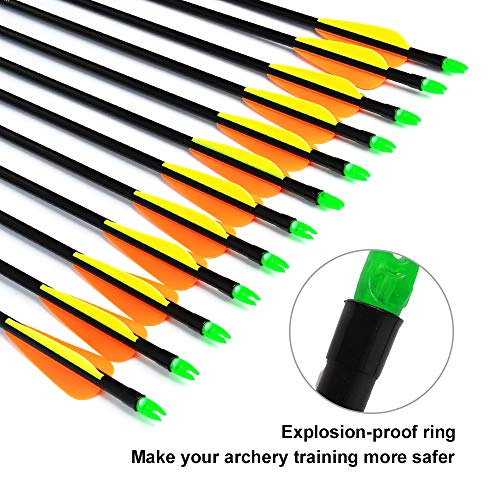 ANTSIR 12Pcs/lot Fiberglass Target Arrow 30 inch Adult Archery Hunting Nock Proof Arrow Steel Point 15-40 Lbs for Recuve & Compound Bow