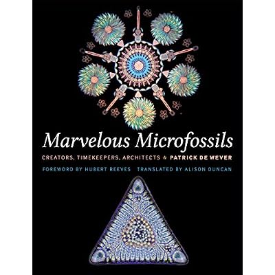 Marvelous Microfossils