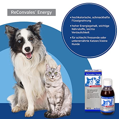 Alfavet ReConvales Energy | 3er Pack | 3 x 180 ml | Diät-Ergänzungsfuttermittel für Katzen und kleine Hunde | Zur ernährungsphysiologischen Wiederherstellung | Ohne Milchprodukte