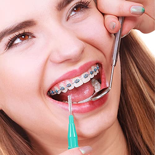 350 Pieces Interdental Brush Tooth Floss Tooth Cleaning Tool Toothpick Dental Tooth Flossing Head Oral Dental Flosser Teeth Soft Dental Picks Refill Dental Flosser Toothpick Cleaners (Mixed Color) #TOP6
