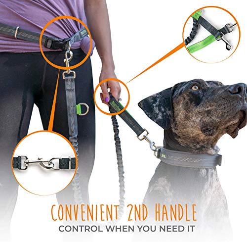 Mighty Paw Hands Free Dog Leash | Premium Runners Pet Lead And Adjustable Hip Belt. Lightweight Reflective Bungee System For Training, Walking, Jogging, Hiking And Running. (Grey, 36 Inch) #TOP4