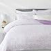AmazonBasics Light-Weight Microfiber Duvet Cover Set with Snap Buttons - Full/Queen, Lavender Paisley