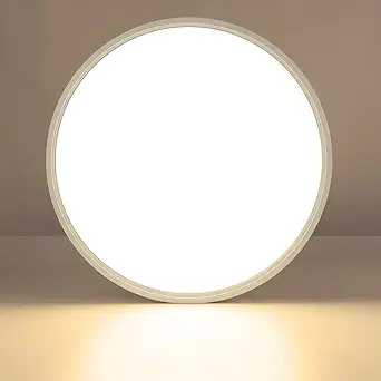 LightingWill 15.7 Inch LED Flush Mount Ceiling Light Fixture, 2800K Warm White, 3800LM, 32W, Flat Modern Round Lighting Fixture, 320W Equivalent White Ceiling Lamp for Kitchens, Bedrooms.etc.