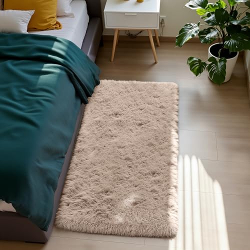 Fluffy Rug Shag Area Rug, Beige 2x4 Area Rugs for