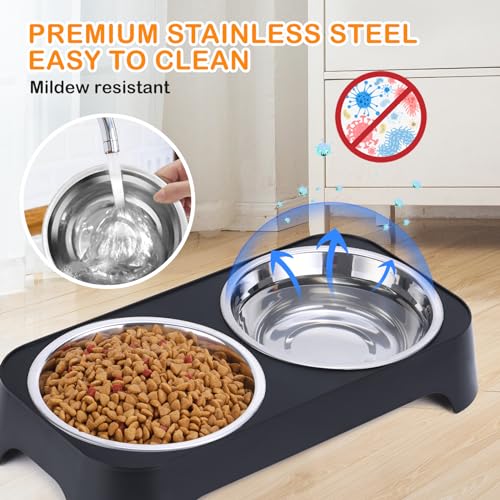 Dog Bowls, Dog Feeder with 2 Stainless Steel Dog Food Bowls, Dog Feeding & Watering Supplies for Small to Medium Sized Dogs and Cats, 3 Inches Tall, Black Dog Bowls, Dog Feeder with 2 Stainless Steel Dog Food Bowls, Dog Feeding & Watering Supplies for Small to Medium Sized Dogs and Cats, 3 Inches Tall, Black
