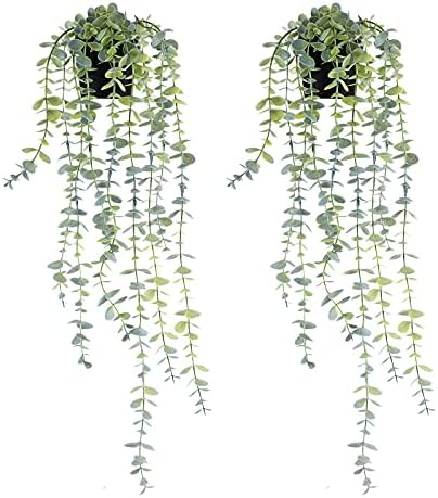 LORYDECO Artificial Hanging Potted Eucalyptus Vine Set of 2, Fake Plants with Pot, Medium Faux Planters Greenery for Wall Home Room Indoor Outdoor Decor
