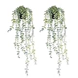 LORYDECO Artificial Hanging Potted Eucalyptus Vine Set of 2, Fake Plants with Pot, Medium Faux Plant