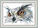 CaptainCrafts Hots Cross Stitch Kits Patterns Embroidery Kit - Owl (WHITE)