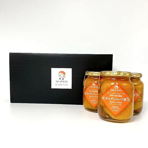 񂸃VbvЃZbgi3{j H[AvR Mtg  AvRbg 쌧 MB  ʕ