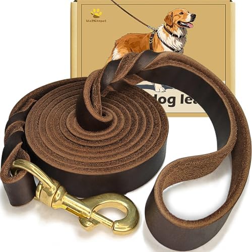 WERCHNPET Leather Dog Leash 6ft x 3/4 inch, Heavy Duty, Soft and Strong for Large, Medium, Small Dogs - Premium Leather Leash for Dogs