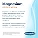 EuroMedica Magnesium + P-5-P - Bone & Heart Health Support Supplement - Dietary Supplement with Vitamin B6, Zinc & Magnesium - Pyridoxal-5-Phosphate Vegan Capsule Supplement - 60 Capsules