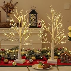 2 Pack 24LT White Birch Trees