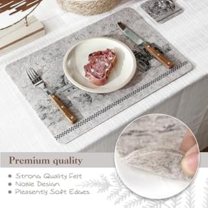 Farmhouse Placemats Set of 6 Felt Placemats with Coasters Heat Stain Scratch Resistant Oil Proof Washable Wipeable Outdoor Indoor for Dining Patio Table Kitchen1712
