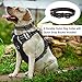 WINSEE Dog Harness No Pull, 4 Snap Buckles Pet Harness with 2 Leash Clips, Adjustable Soft Padded Dog Vest, Reflective Pet Oxford Walking Vest with Easy Control Handle, NO Need Go Over Dog’s Head